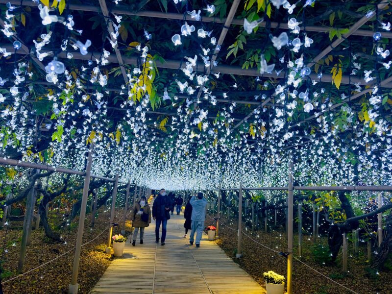 Ashikaga Flowers Park One Day Attractive Tour - Ashikaga Orihime Jinja Shrine
