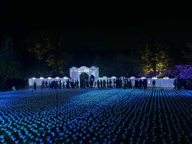 Ashikaga Flowers Park One Day Attractive Tour - Ashikaga Museum of Art