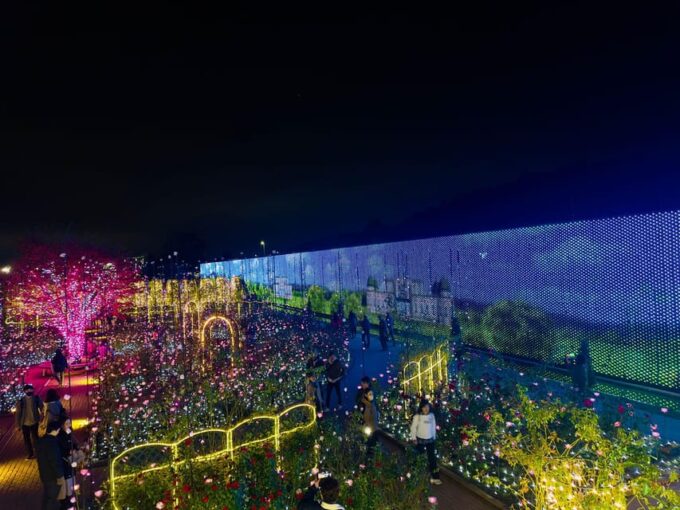 Ashikaga Flowers Park One Day Attractive Tour - Ashikaga Ruins School Museum