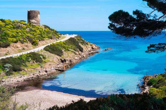 Asinara Full Day Sailboat Tour From Stintino - Key Points