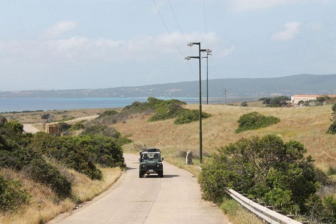 ASINARA ISLAND TOUR - Full Day (Off Road Tour in the National Park) - Visitor Experiences and Feedback