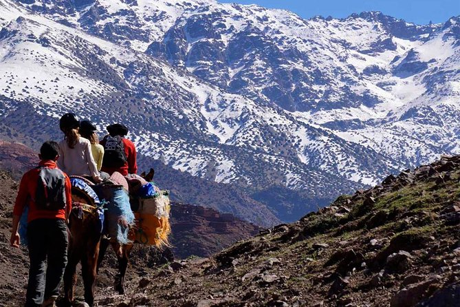 Asni and Imlil Day Tour With Lunch in Kasbah Toubkal Included - Inclusion and Exclusion Details