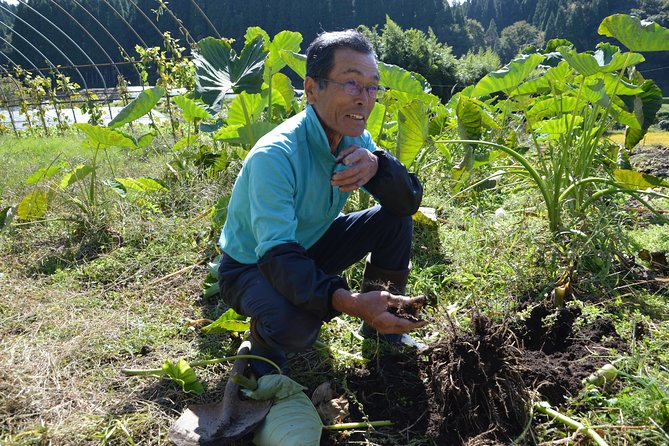 Aso Caldera and Farm Experience Tour - End Point