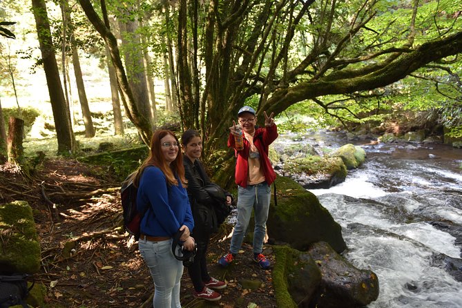 Aso Caldera and Farm Experience Tour - Additional Information