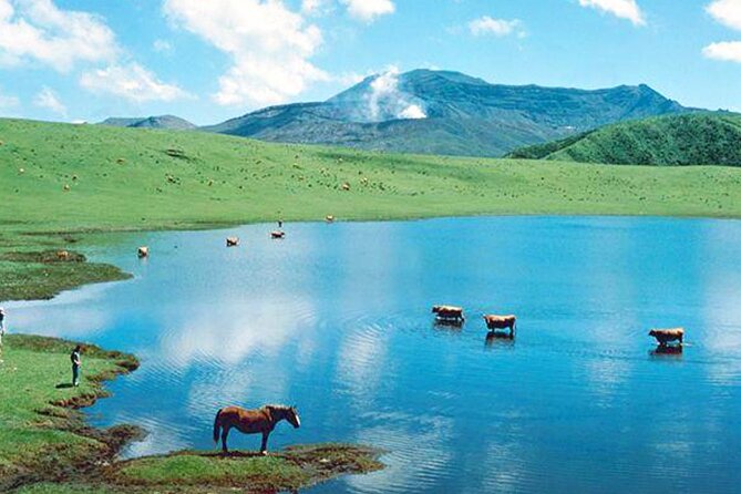 Aso Vocano, Grassland,Onsen and Aso Shrine 1-Day Tour - Inclusion Details