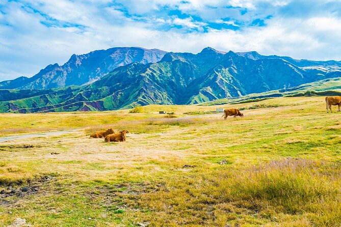 Aso Vocano, Grassland,Onsen and Aso Shrine 1-Day Tour - Meeting and Departure Information