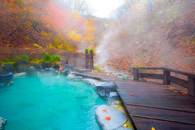 Aso Vocano, Grassland,Onsen and Aso Shrine 1-Day Tour - Itinerary Adjustments