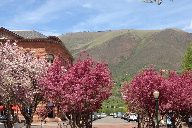 Aspens Past to Present Historic Tour - Whats Included