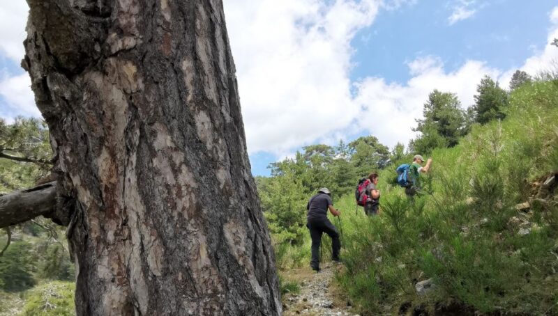 Aspromonte National Park: Private Trek to the Maesano Falls - Maesano Waterfalls Exploration