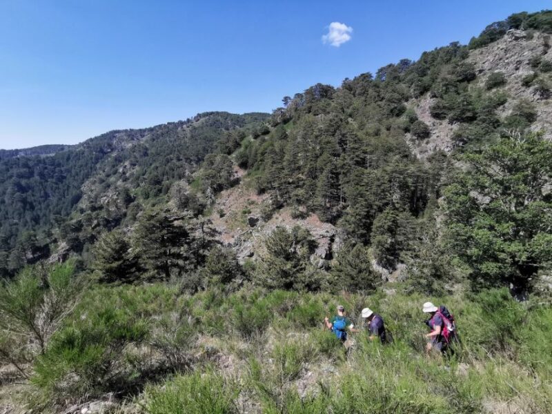 Aspromonte National Park: Private Trek to the Maesano Falls - Panoramic Viewpoint Destination