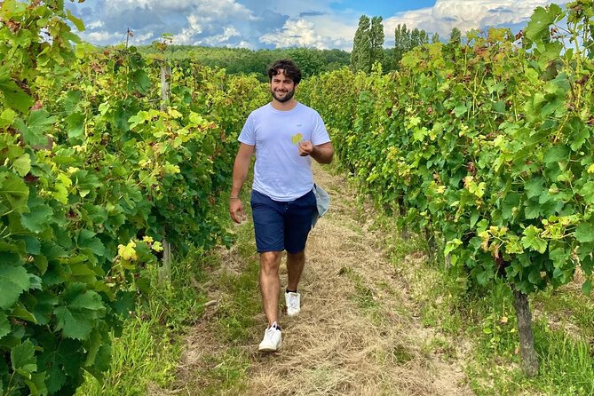 Assemble Your Own Wine Cuvée in the Vineyard - Accessibility and Participation