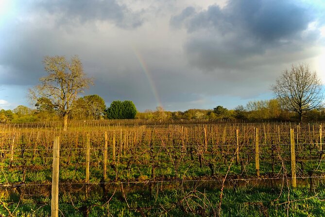 Assemble Your Own Wine Cuvée in the Vineyard - The Winemaking Process