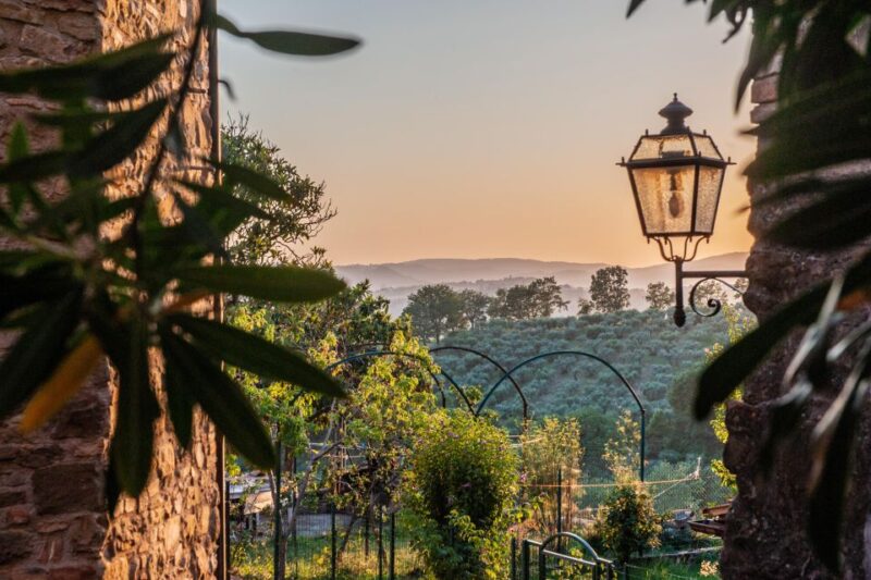 Assisi: 3-Hours Private Tour Including St. Francis Basilica - St. Clares Basilica