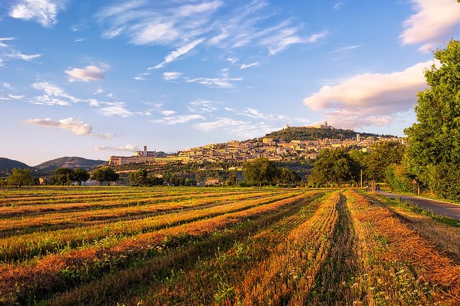 Assisi Best Highlights a Private Tour With Licensed Tour Guide - Schedule and Availability