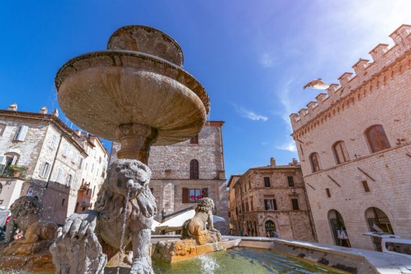 Assisi: Old Town Guided Walking Tour - Customer Feedback and Ratings