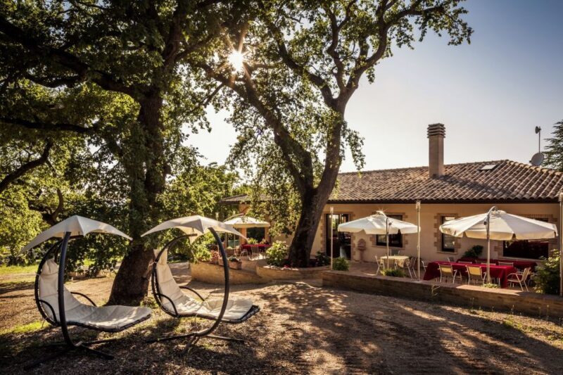 Assisi: Organic Wine and Cheese Tasting - Key Points