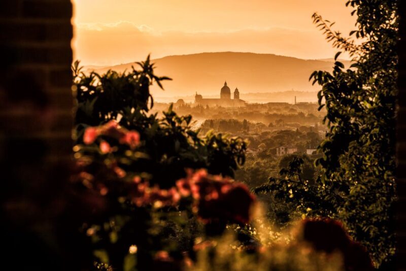 Assisi: Organic Wine and Cheese Tasting - Since Your Asked