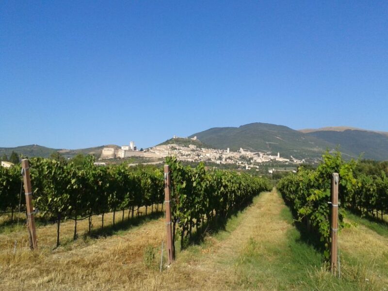 Assisi Rental Vespa 125CC - Full Day - Important Information to Know