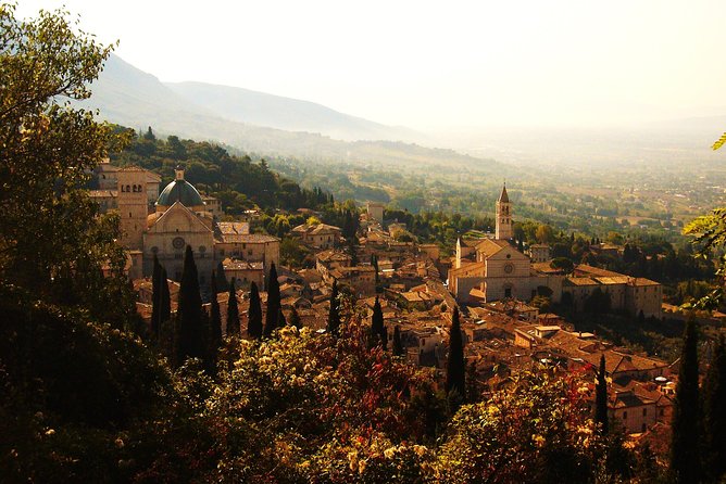 Assisi: the Three Major Basilicas. St. Francis, St. Clare and Porziuncola Chapel - Meeting Point and Accessibility