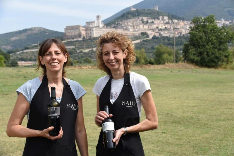 Assisi: Wine Tasting, Gourmet Pairing, Walk in the Vineyards - Overview of the Vineyard Experience