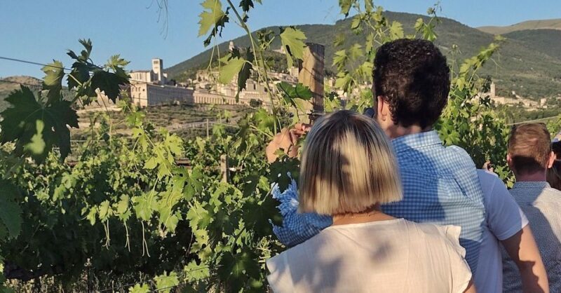 Assisi: Wine Tasting, Gourmet Pairing, Walk in the Vineyards - Gourmet Food Pairings
