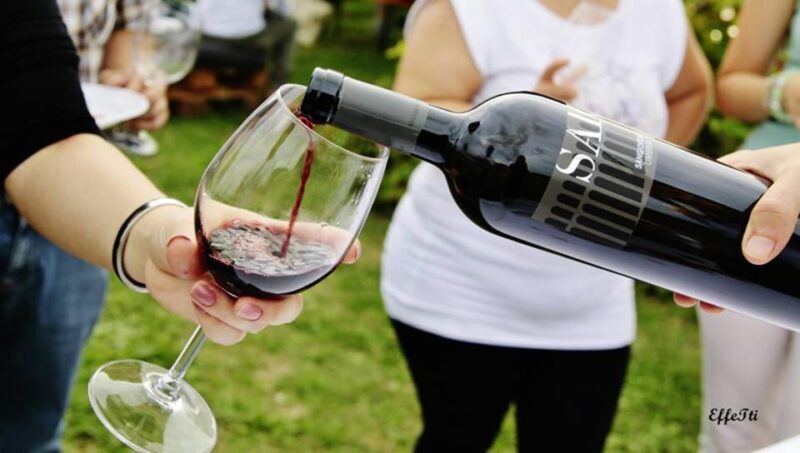 Assisi: Wine Tasting, Gourmet Pairing, Walk in the Vineyards - Panoramic Views of Assisi
