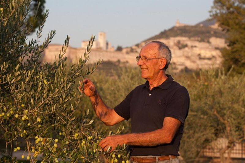 Assisi: Wine Tasting, Gourmet Pairing, Walk in the Vineyards - Customer Experiences and Feedback