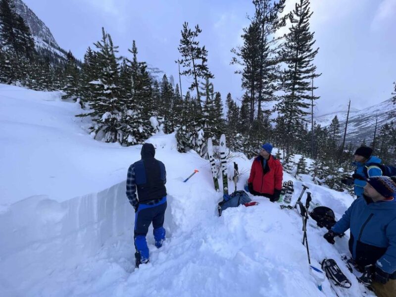 AST 1: Avalanche Skills Training Level 1 - Curriculum and Certification