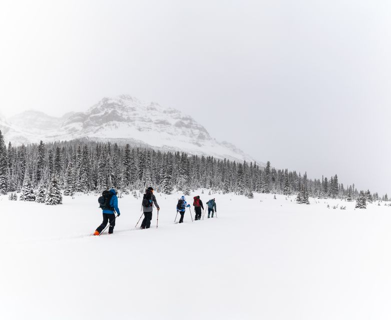 AST 1: Avalanche Skills Training Level 1 - Zoom and Field Day
