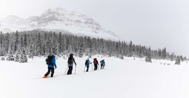 AST 1: Avalanche Skills Training Level 1 - Avalanche Scenarios