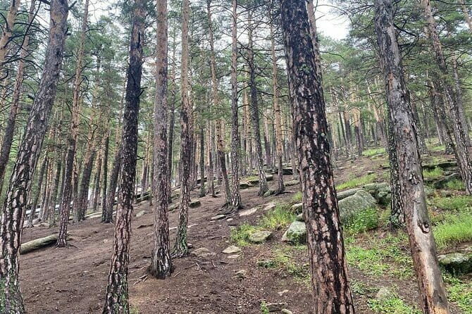 Astana: Burabay Oasis National Park Unforgettable Adventure - Exploring Burabay National Park: What’s on Offer