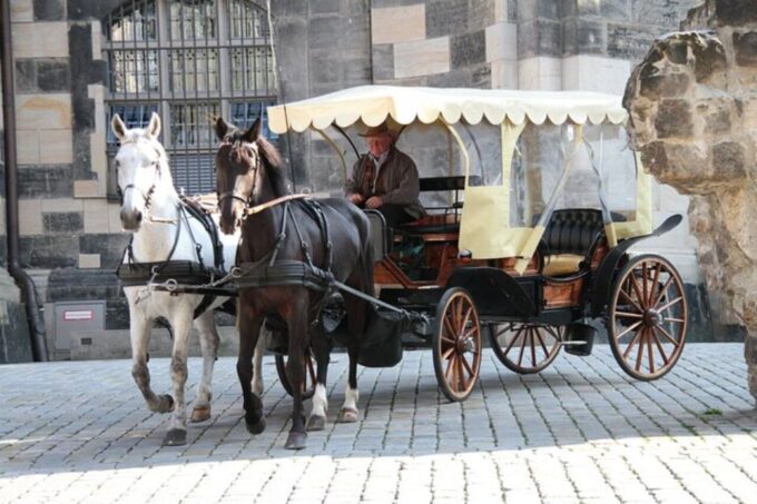 Astonishing Dresden - Guided Walking Tour - Language Options and Cancellation
