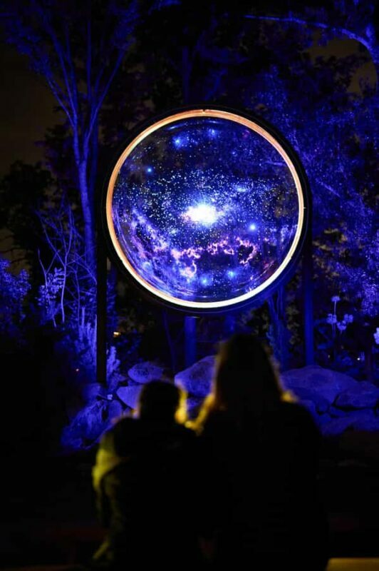 Astra Lumina Entry at Currumbin Wildlife Sanctuary - Practical Tips for Visitors