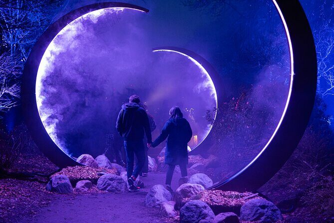 Astra Lumina Night Walk at Currumbin Wildlife Sanctuary - Key Points
