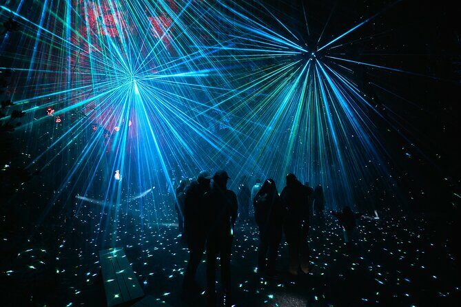 Astra Lumina Night Walk at Currumbin Wildlife Sanctuary - Final Thoughts: Is It Worth It?