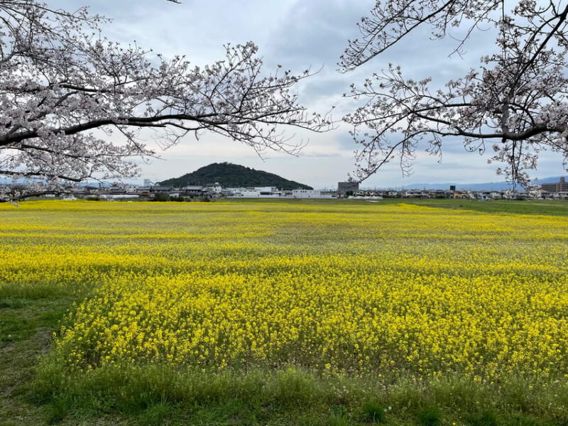 Asuka: Discovering the Origin of Japan - Historical Site and Nature - Itinerary Highlights