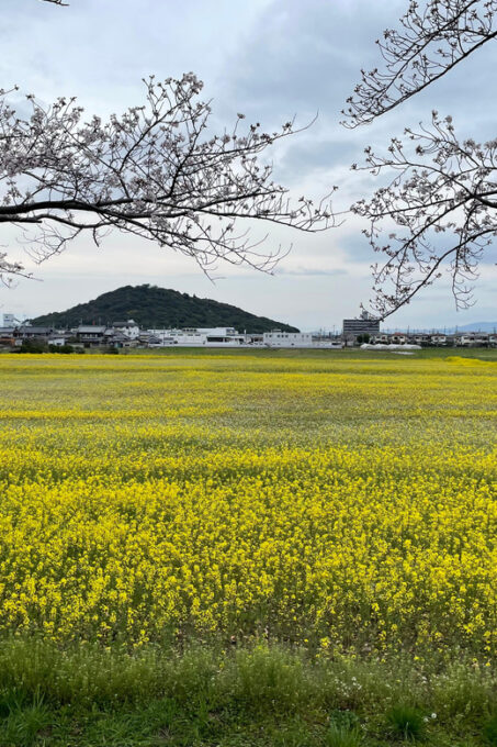 Asuka: Discovering the Origin of Japan - Historical Site and Nature - Tour Inclusions