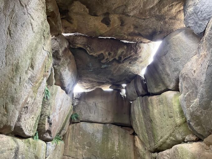 Asuka: Discovering the Origin of Japan - Historical Site and Nature - Tour Logistics