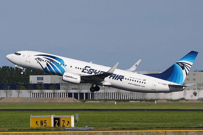 Aswan Airport Private Departure Transfer - Accessibility Features