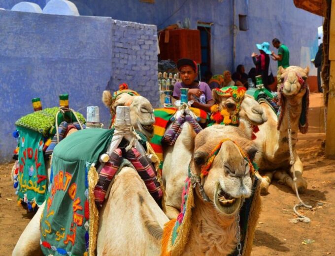 Aswan: Day Trip to Nubian Village With Camel Tour - Cancellation and Payment Options