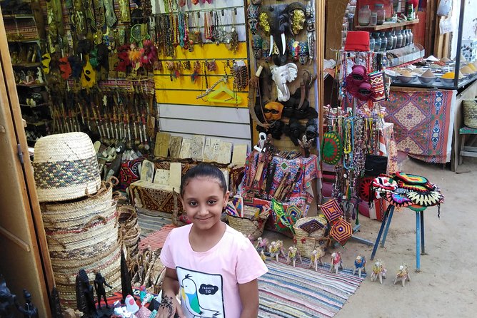 Aswan Full Day Tour & Nubian Village - Accessibility