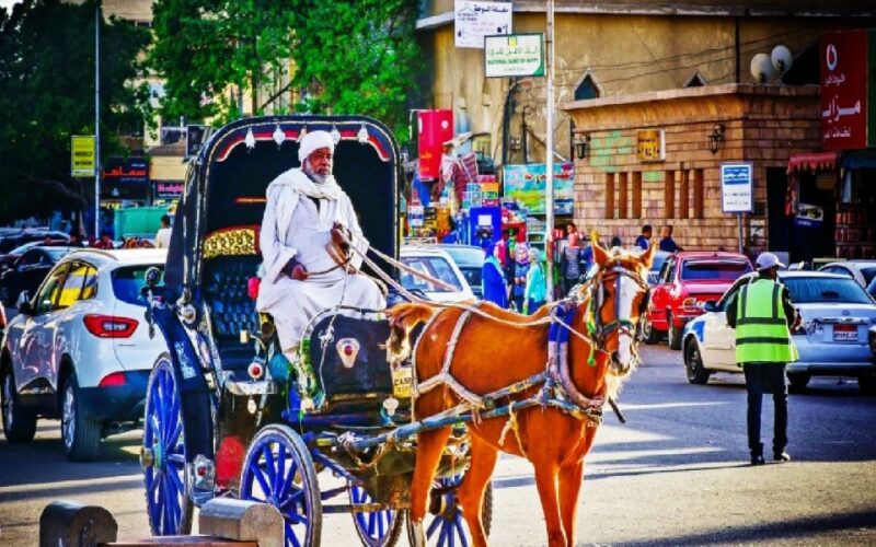 Aswan: Private Horse & Carriage City Tour With Hotel Pickup - Key Points