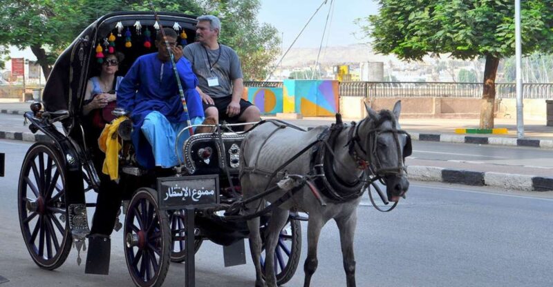 Aswan: Private Horse & Carriage City Tour With Hotel Pickup - Booking Information