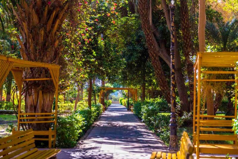 Aswan: Private Nile Boat Cruise and Botanical Garden Visit - Languages Offered