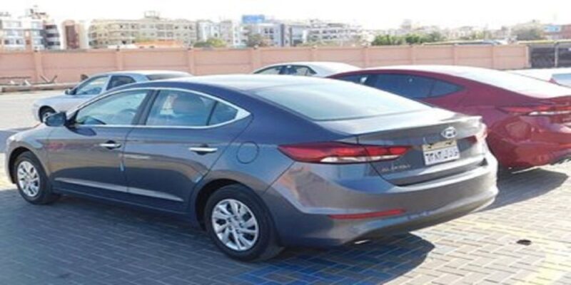 Aswan: Private Transfer To/From Hurghada - Customer Feedback