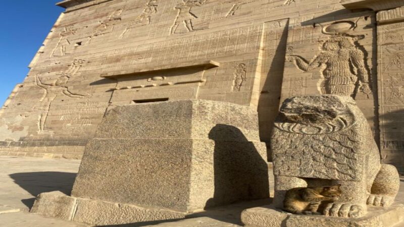 Aswan Sightseeing Tour- Half Day Temple of Philae - High Dam - Aswan Highlights
