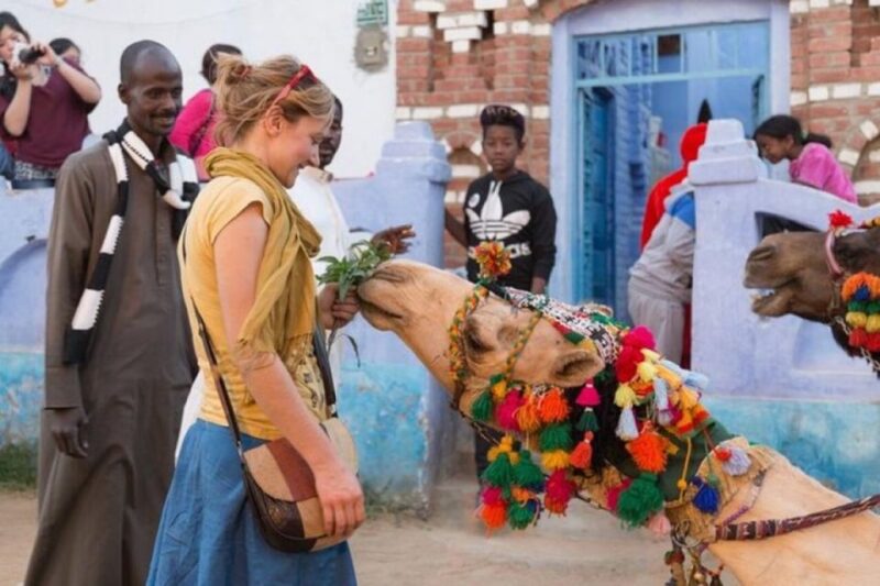 Aswan: Soheil Island Nubian Village Private Tour - Key Points