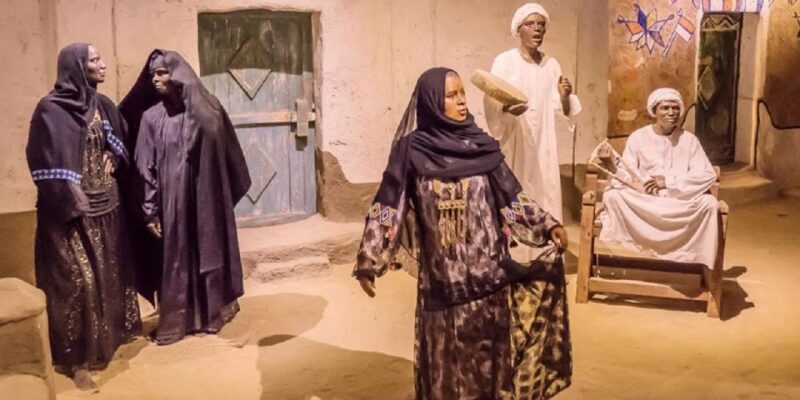 Aswan: The Nubian Museum Private Tour & Tickets - Booking Information