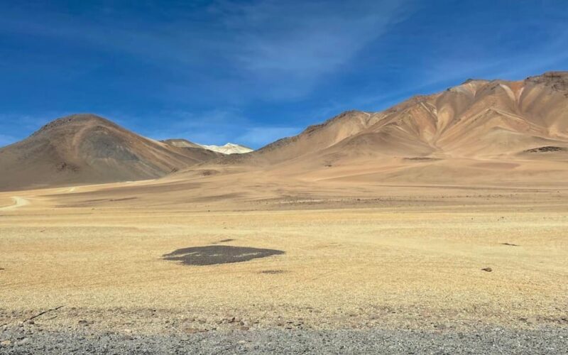 Atacama Desert: Full-Day Magical Salt Flats Tour - Key Points