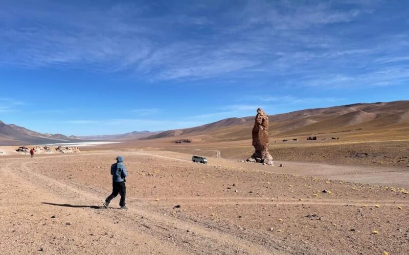 Atacama Desert: Full-Day Magical Salt Flats Tour - Itinerary and Highlights